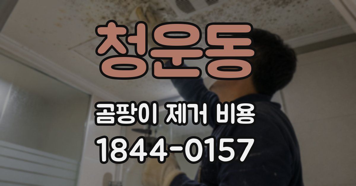 청운동 곰팡이 제거 비용