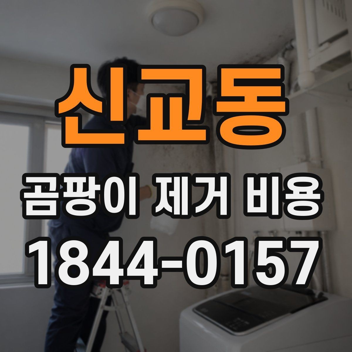 신교동 곰팡이 제거 비용 재발 방지까지 본 견적 확인법