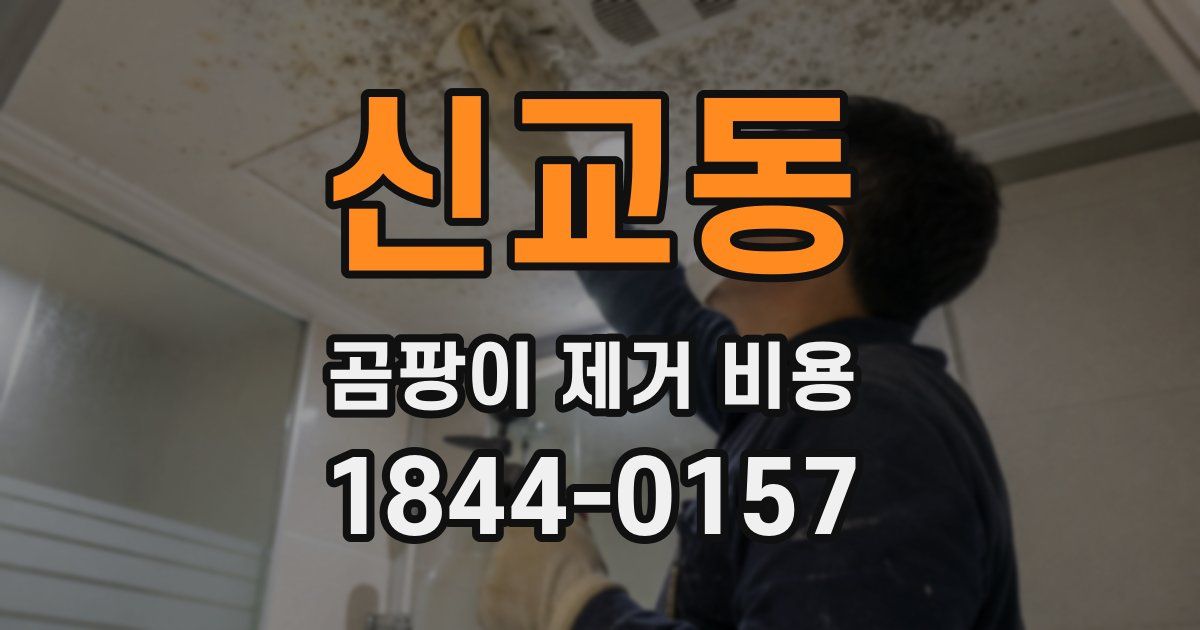 신교동 곰팡이 제거 비용