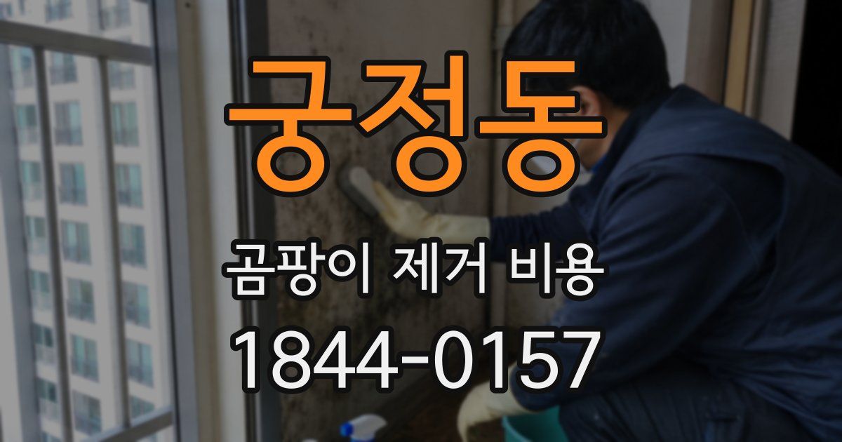 궁정동 곰팡이 제거 비용