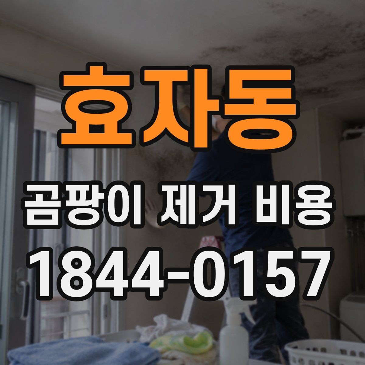 효자동 곰팡이 제거 비용 줄눈 손상 여부가 작업 범위를 좌우하는 경우