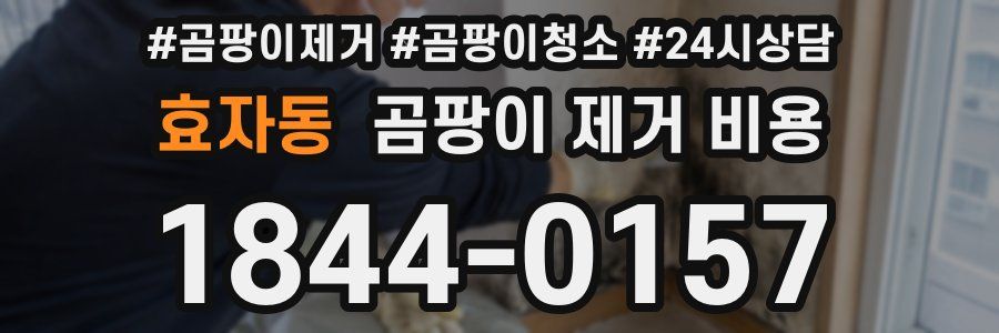 효자동 곰팡이 제거 비용