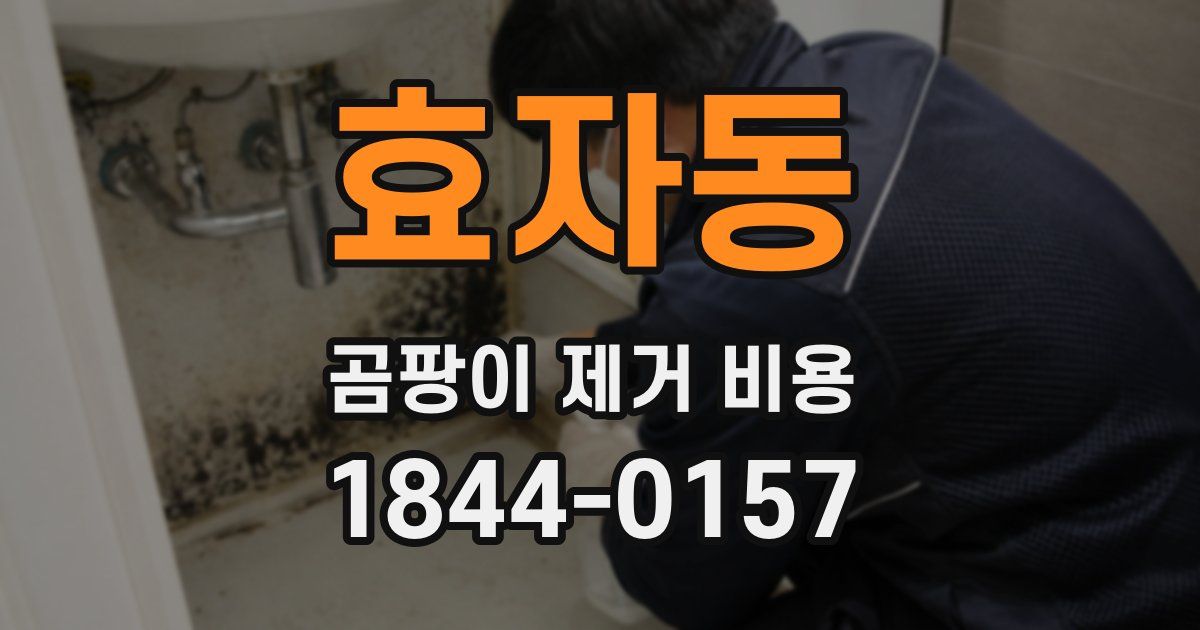 효자동 곰팡이 제거 비용