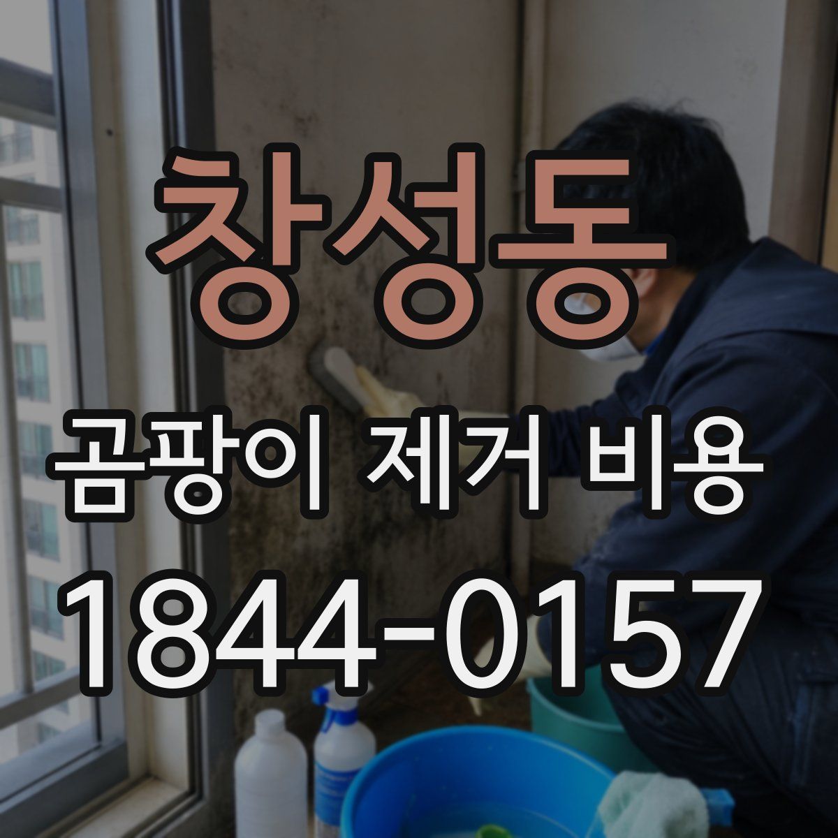 창성동 곰팡이 제거 비용