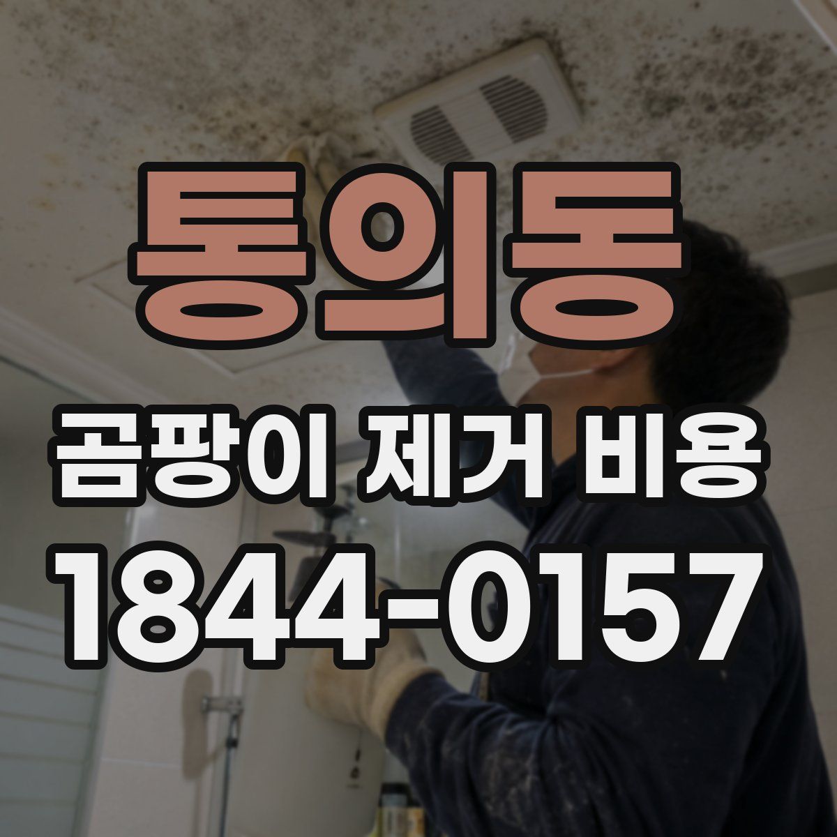 통의동 곰팡이 제거 비용