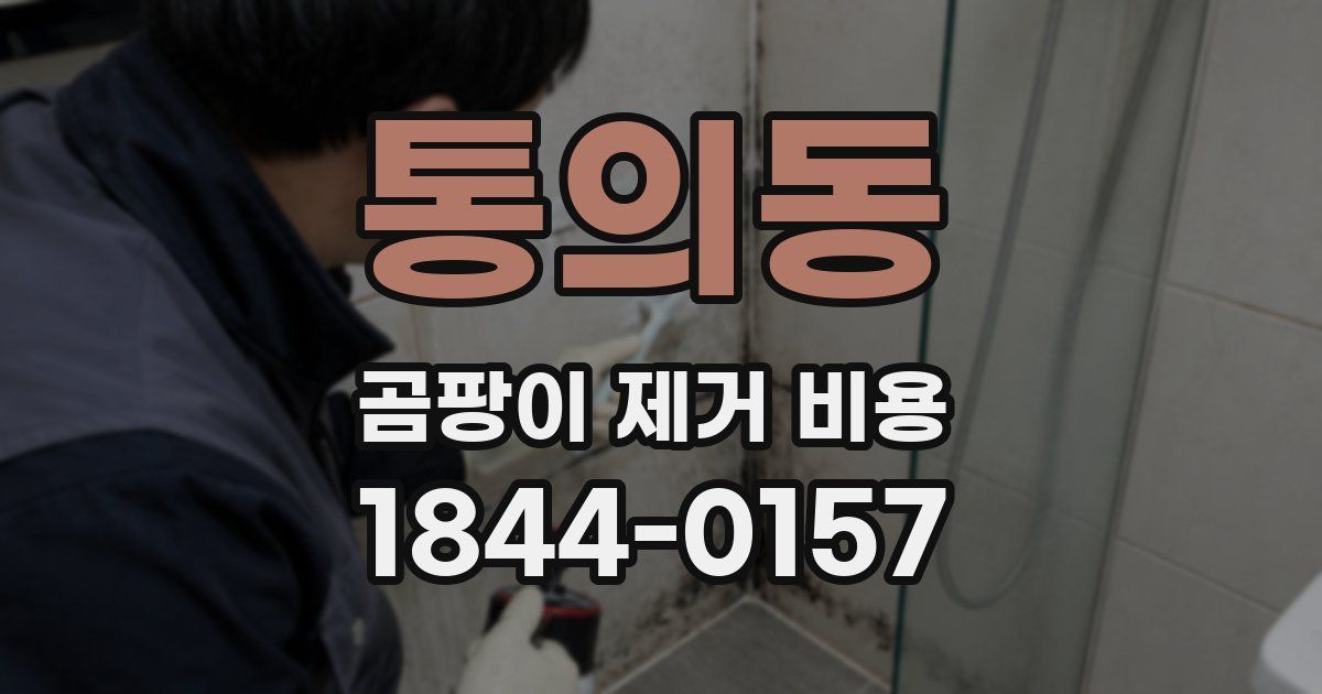 통의동 곰팡이 제거 비용