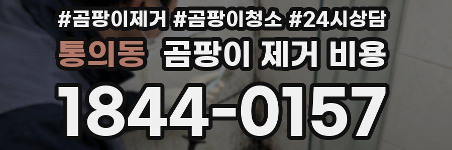 통의동 곰팡이 제거 비용