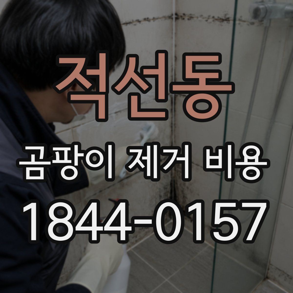 적선동 곰팡이 제거 비용 재발 방지 점검까지 포함할 때 달라지는 금액