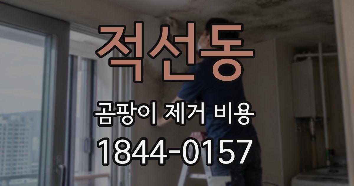 적선동 곰팡이 제거 비용