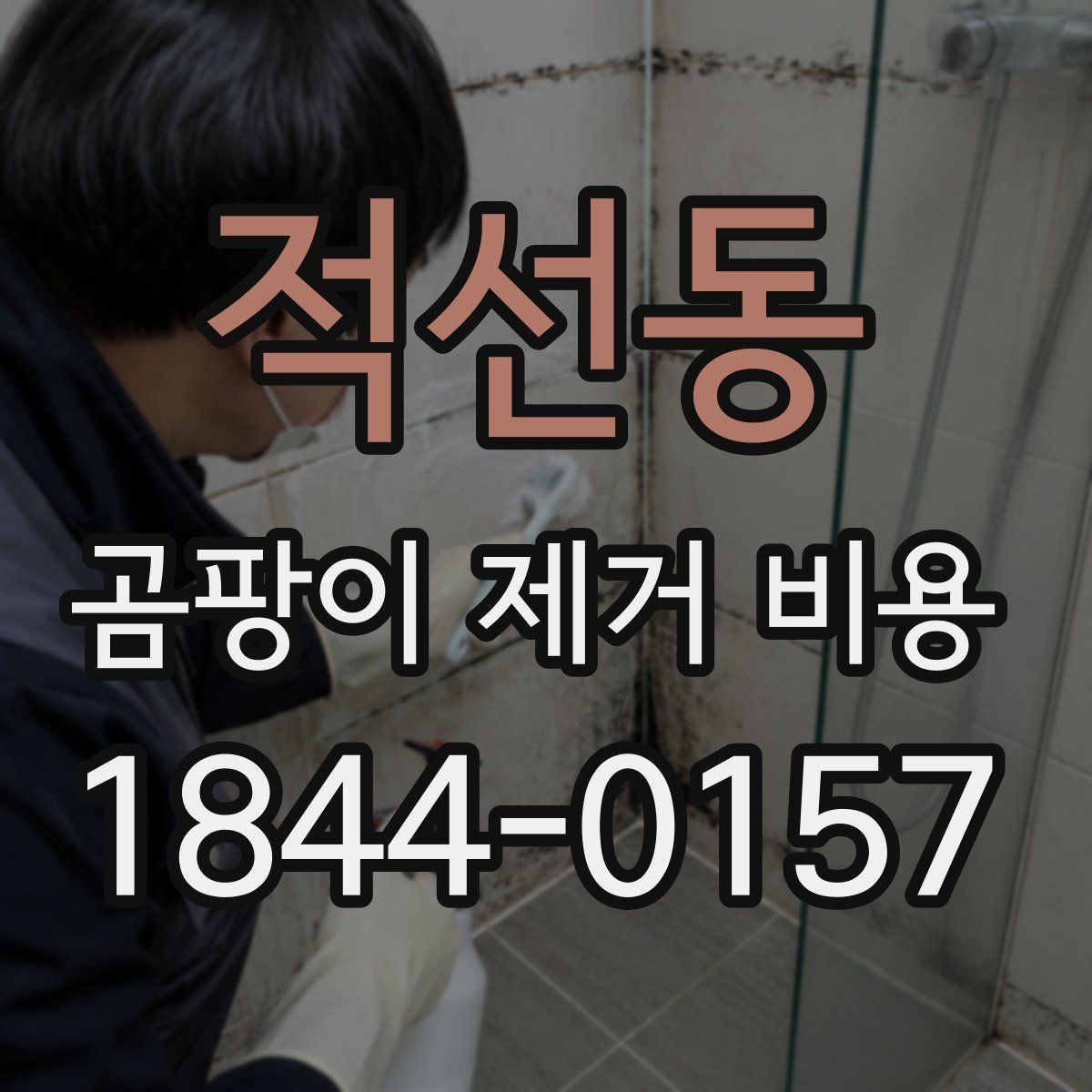 적선동 곰팡이 제거 비용