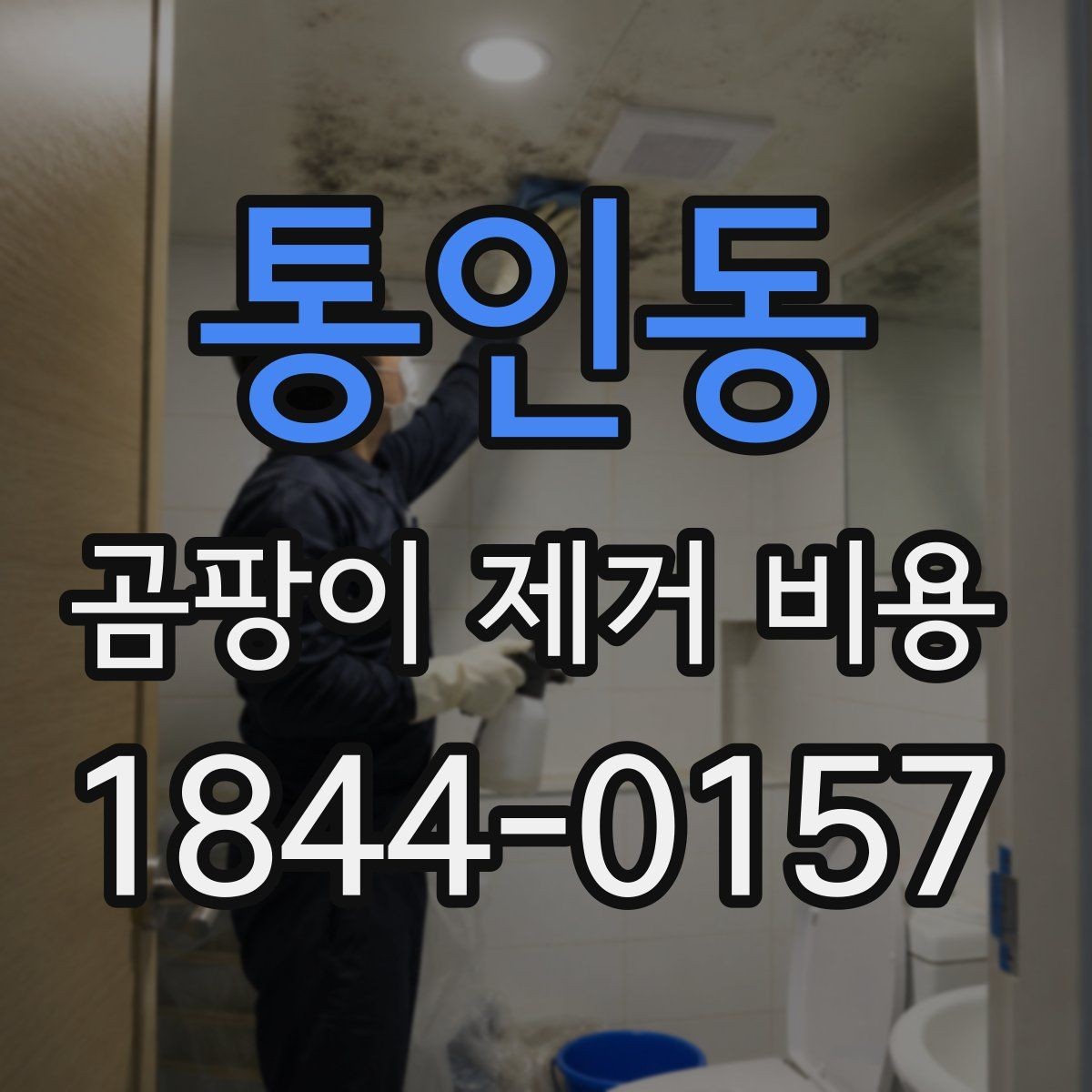 통인동 곰팡이 제거 비용 배관 주변 곰팡이 처리에서 확인할 점
