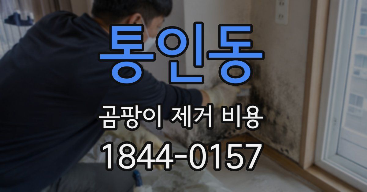 통인동 곰팡이 제거 비용