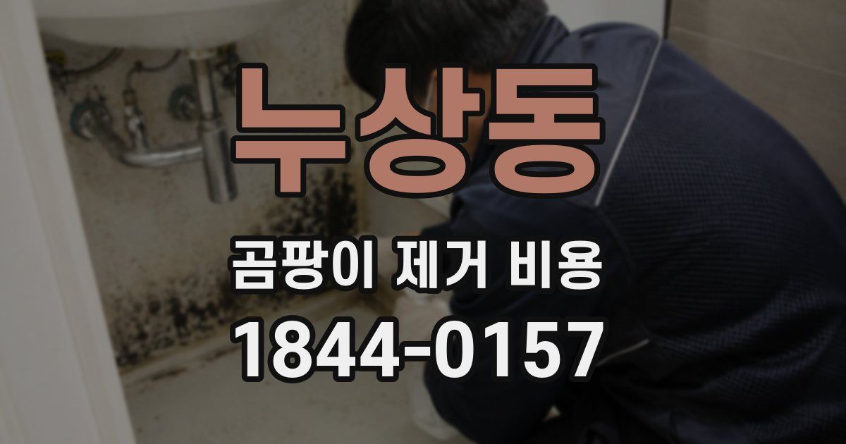 누상동 곰팡이 제거 비용