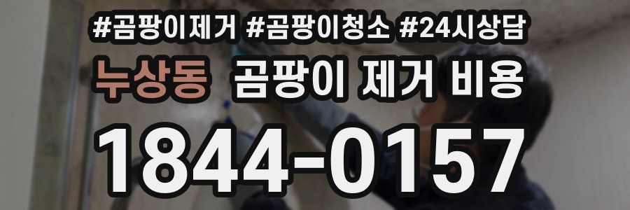 누상동 곰팡이 제거 비용