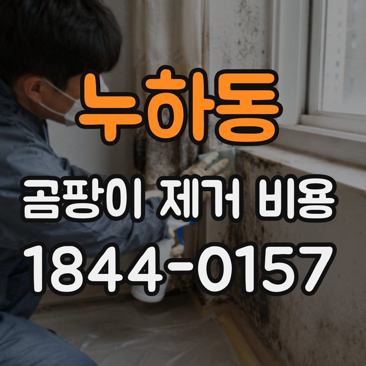 누하동 곰팡이 제거 비용 욕실 천장 공사가 더 복잡해지는 경우