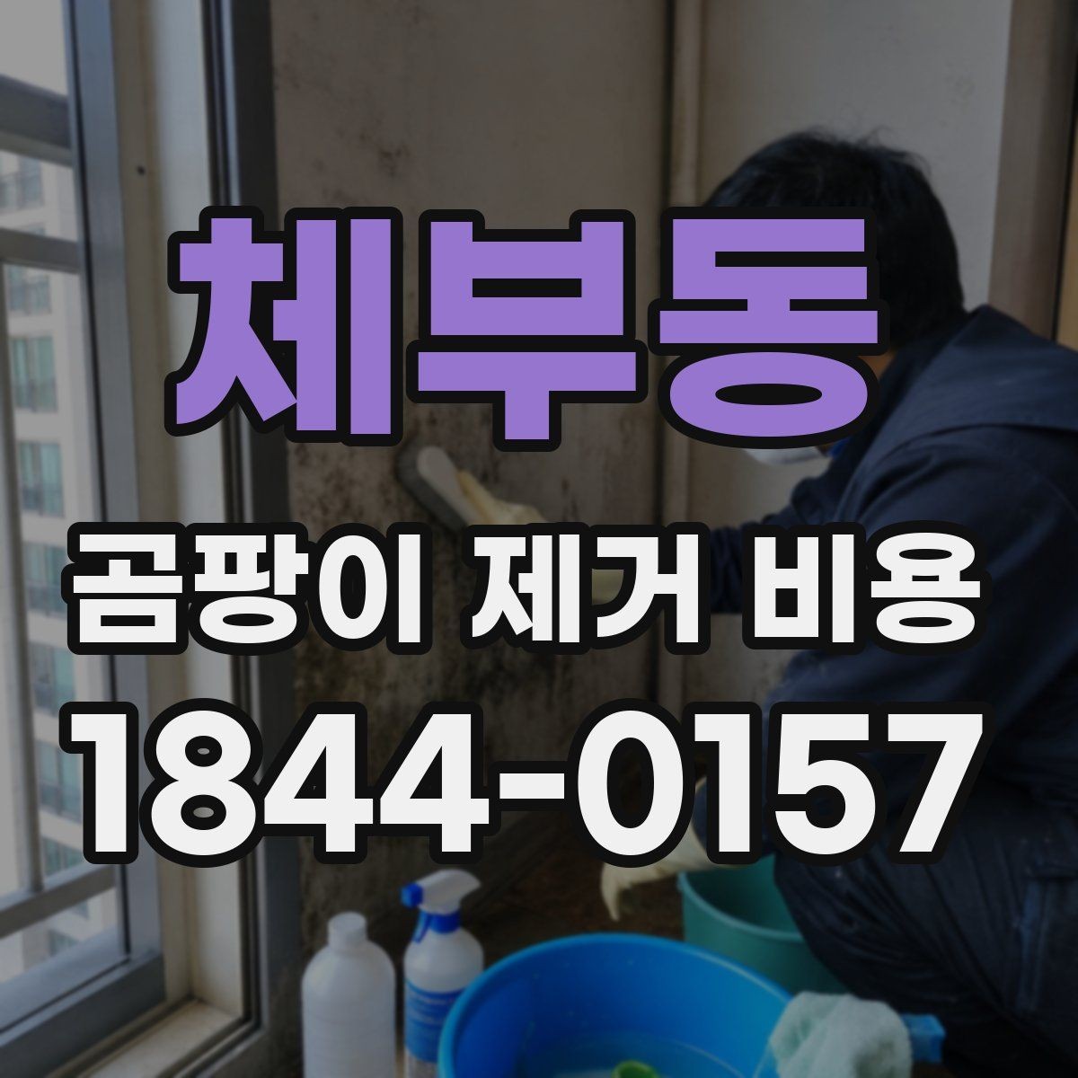 체부동 곰팡이 제거 비용 누수 보수 범위가 달라질 때