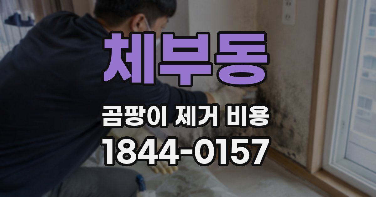 체부동 곰팡이 제거 비용