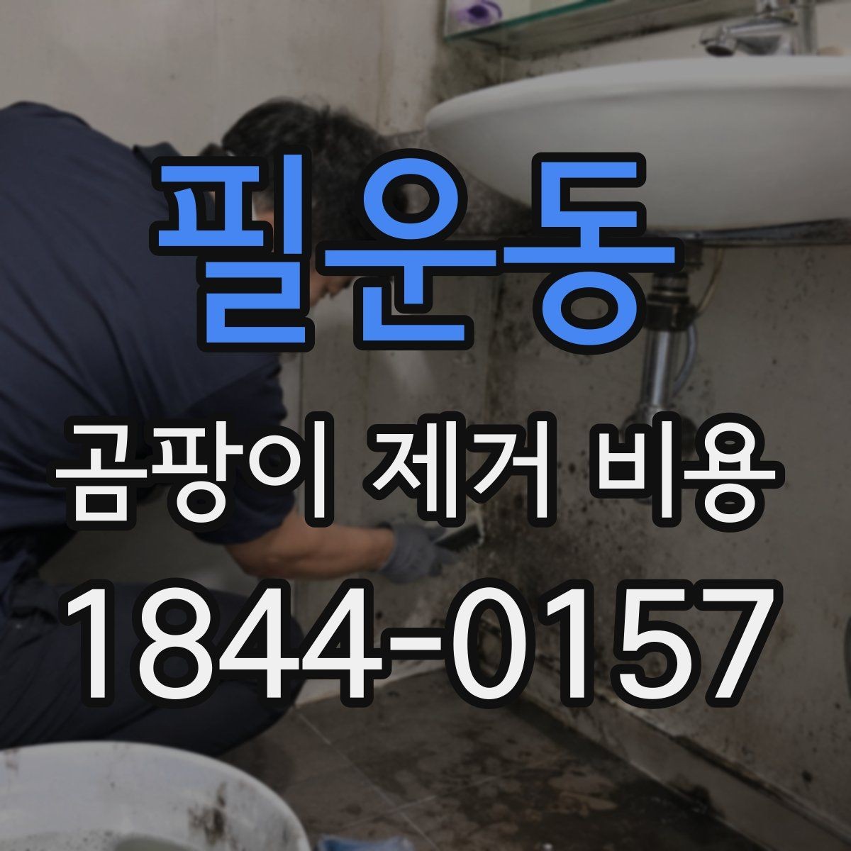 필운동 곰팡이 제거 비용 상가와 주거공간의 시공 방식 차이