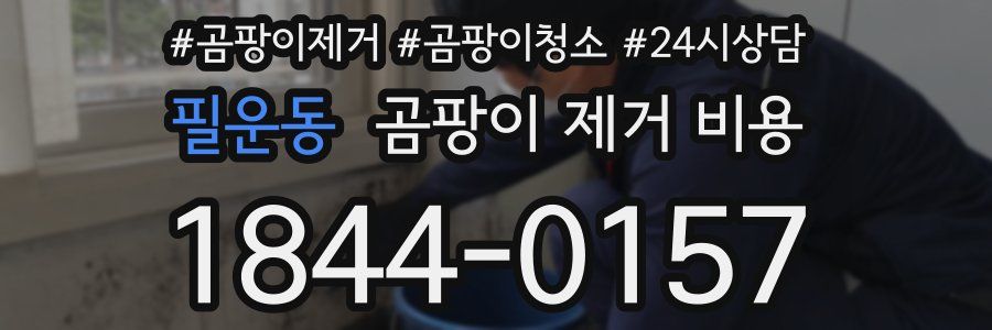 필운동 곰팡이 제거 비용