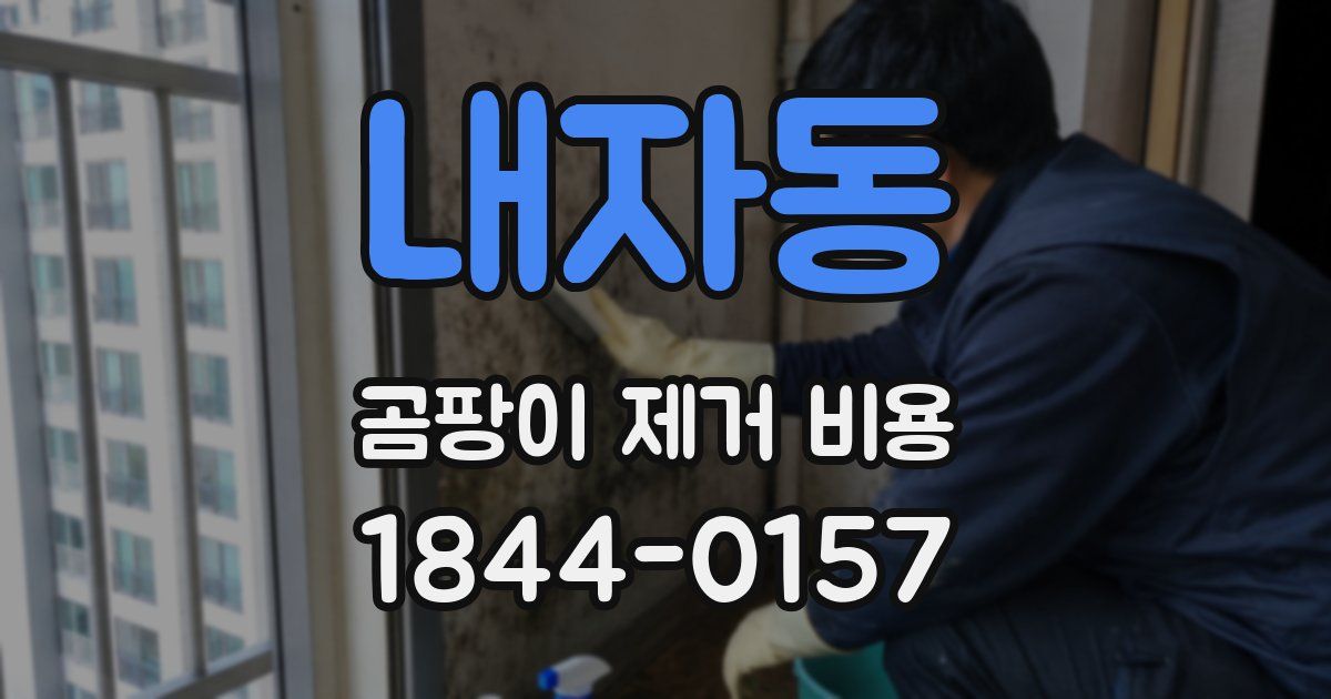 내자동 곰팡이 제거 비용