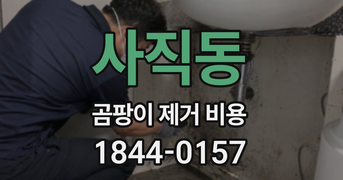 사직동 곰팡이 제거 비용