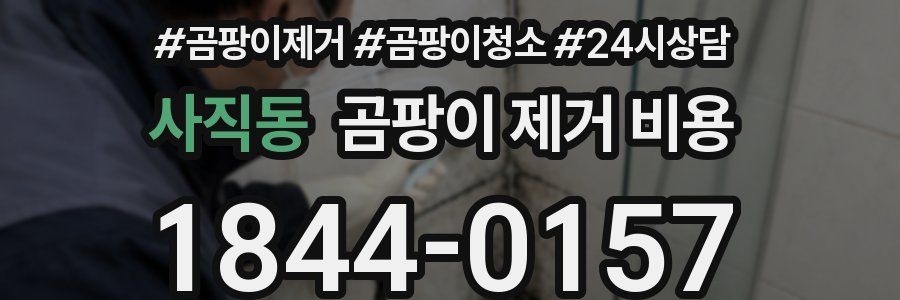 사직동 곰팡이 제거 비용