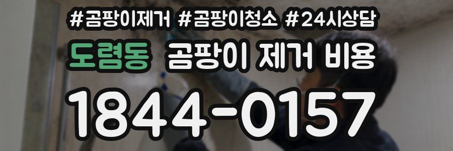 도렴동 곰팡이 제거 비용