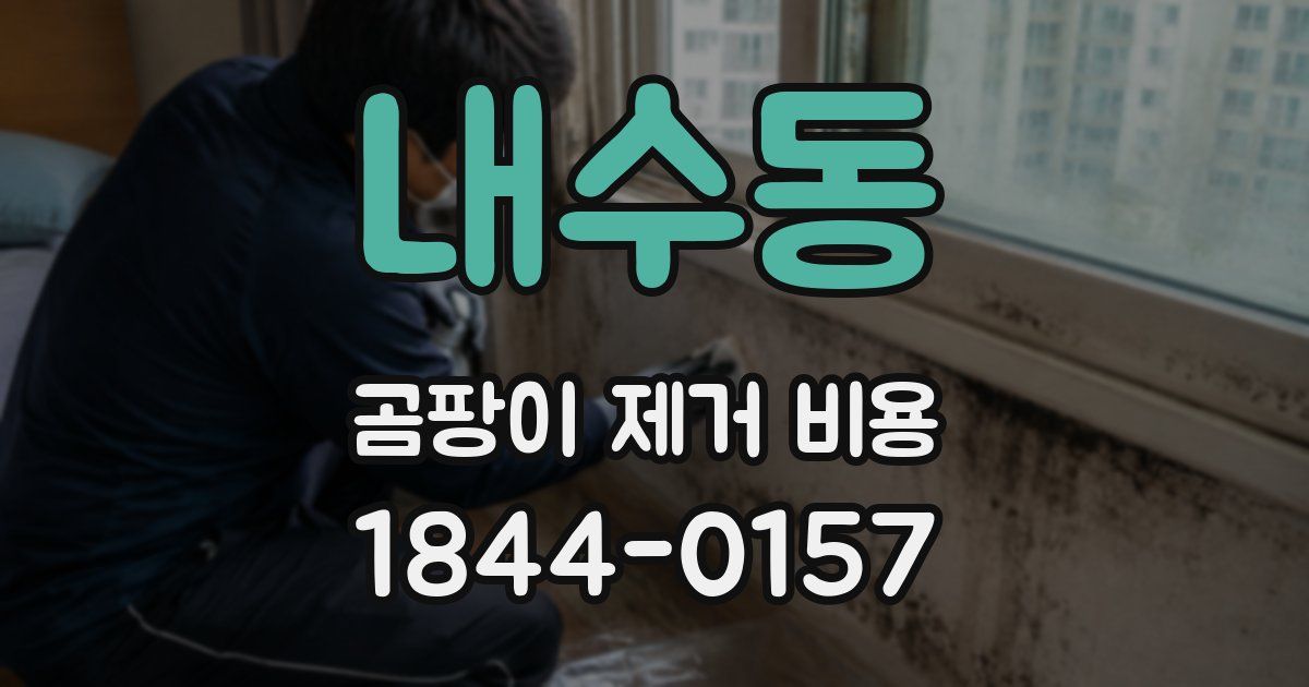 내수동 곰팡이 제거 비용