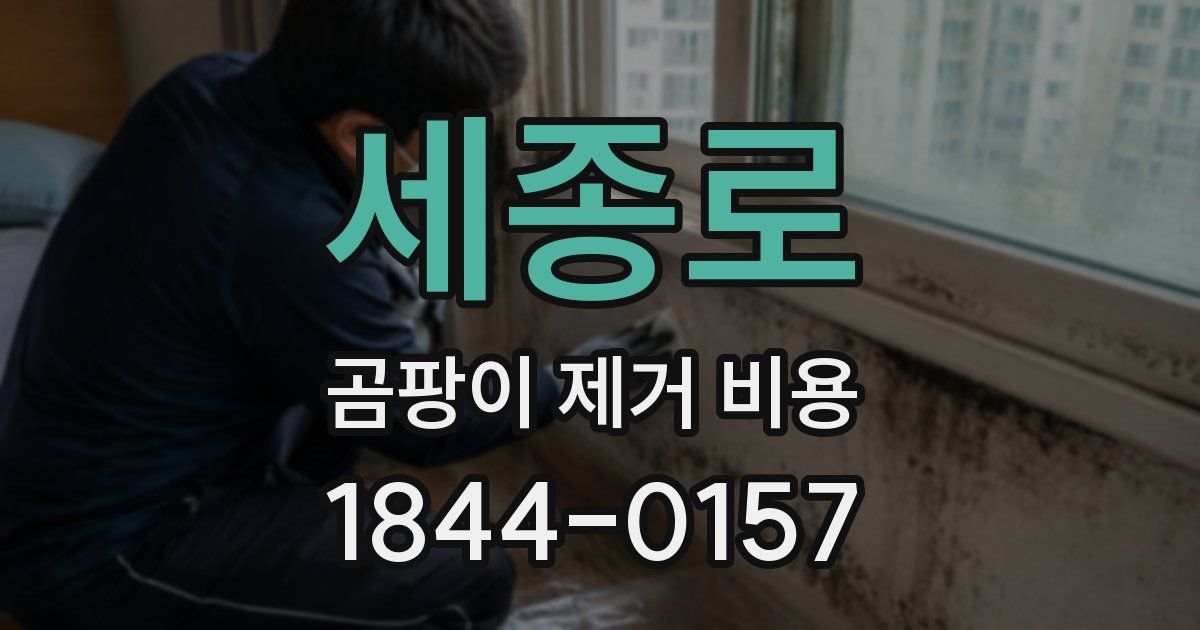 세종로 곰팡이 제거 비용