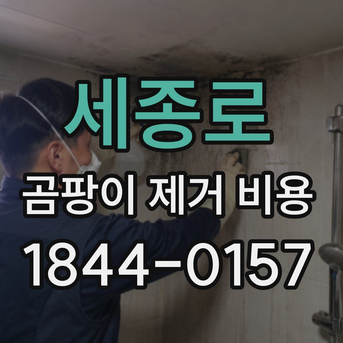 세종로 곰팡이 제거 비용