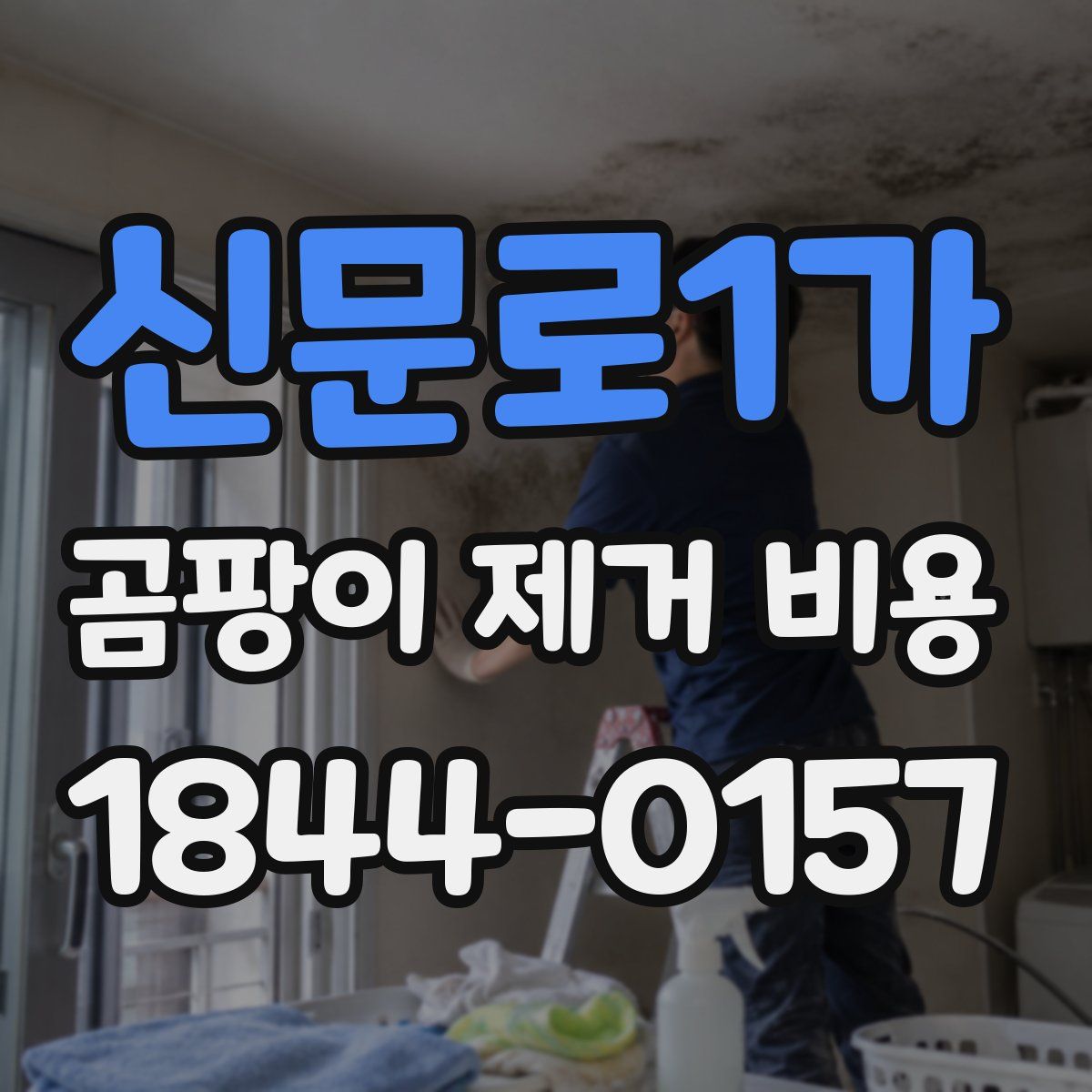 신문로1가 곰팡이 제거 비용