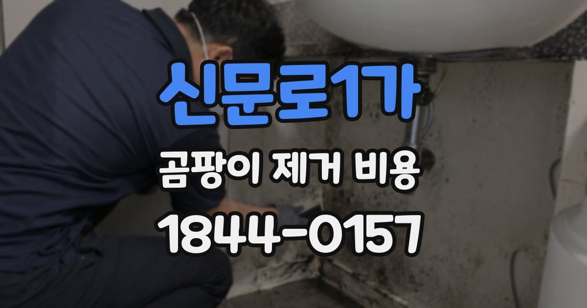 신문로1가 곰팡이 제거 비용