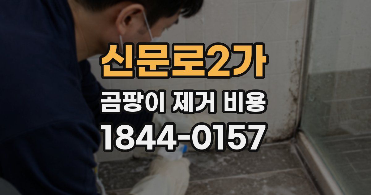 신문로2가 곰팡이 제거 비용