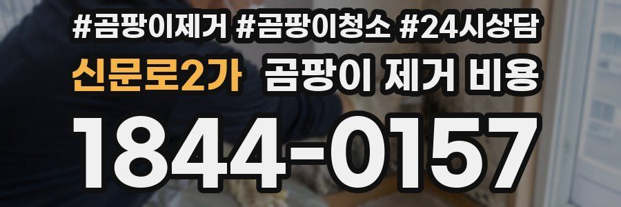 신문로2가 곰팡이 제거 비용