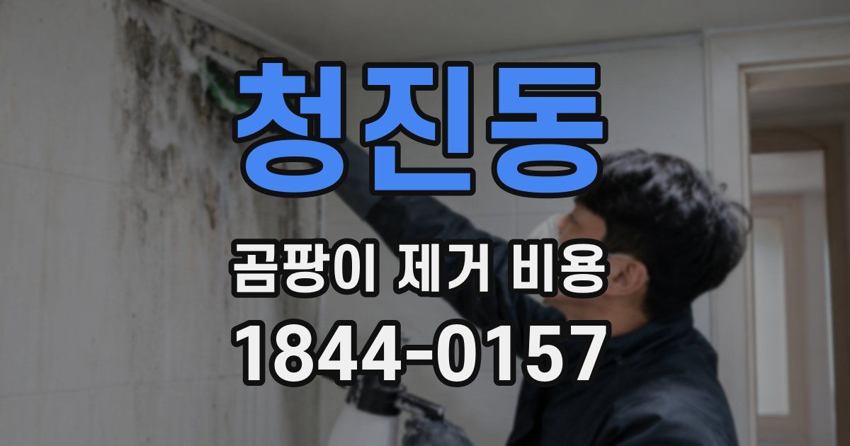 청진동 곰팡이 제거 비용