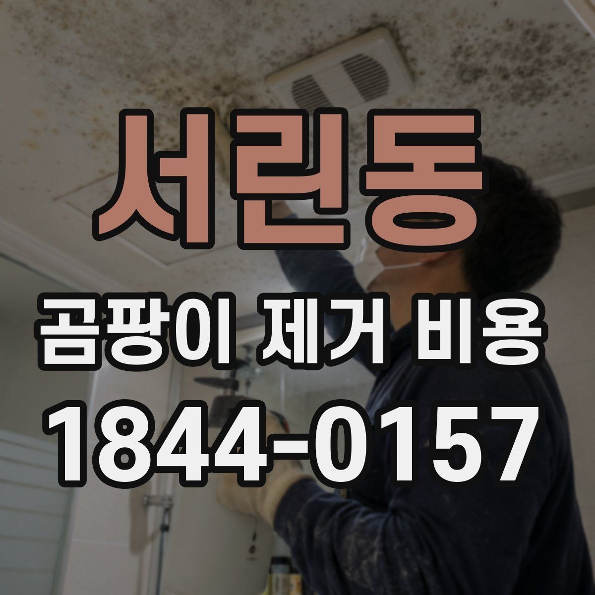 서린동 곰팡이 제거 비용 부분 시공과 전체 시공 차이