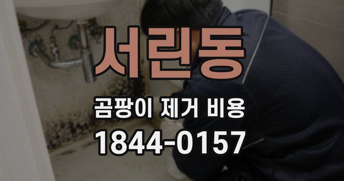 서린동 곰팡이 제거 비용
