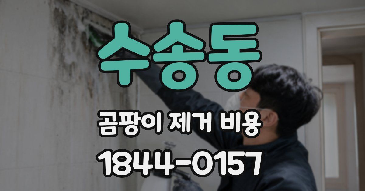 수송동 곰팡이 제거 비용