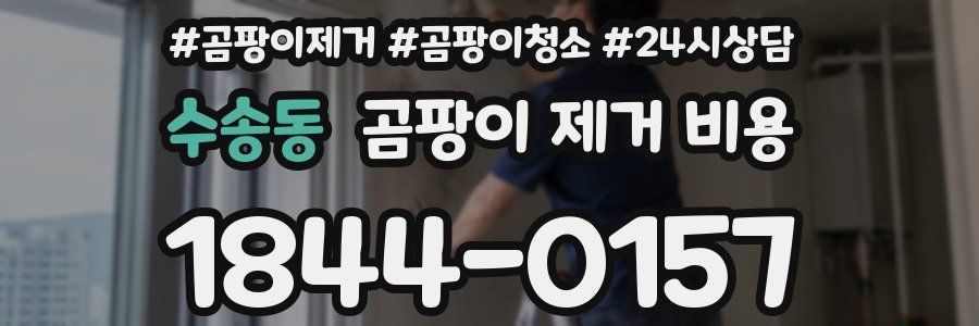 수송동 곰팡이 제거 비용