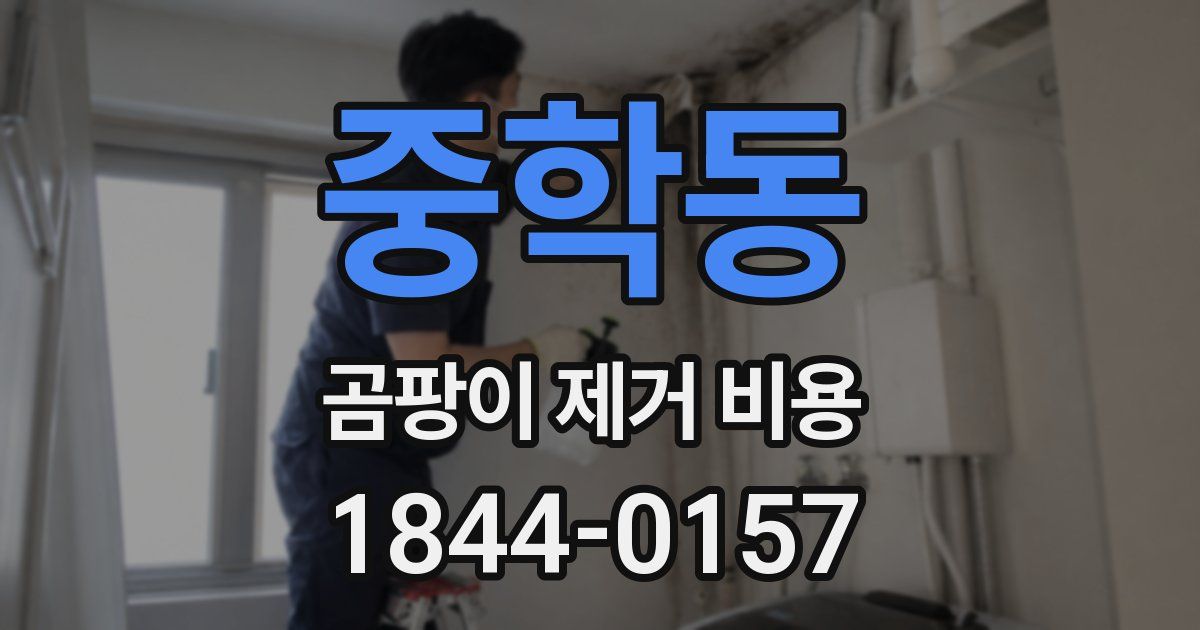 중학동 곰팡이 제거 비용
