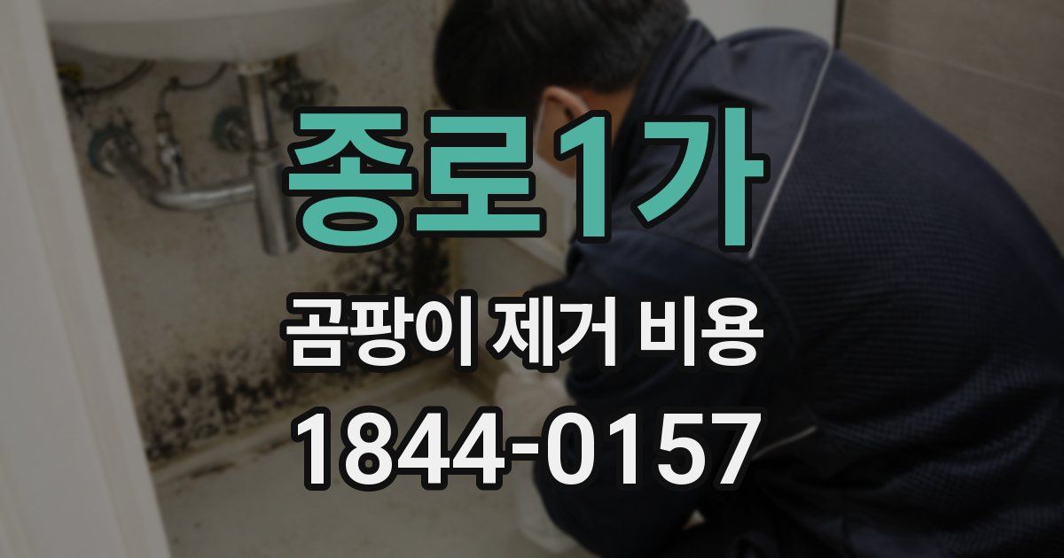 종로1가 곰팡이 제거 비용
