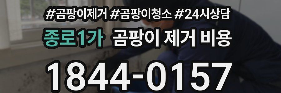 종로1가 곰팡이 제거 비용