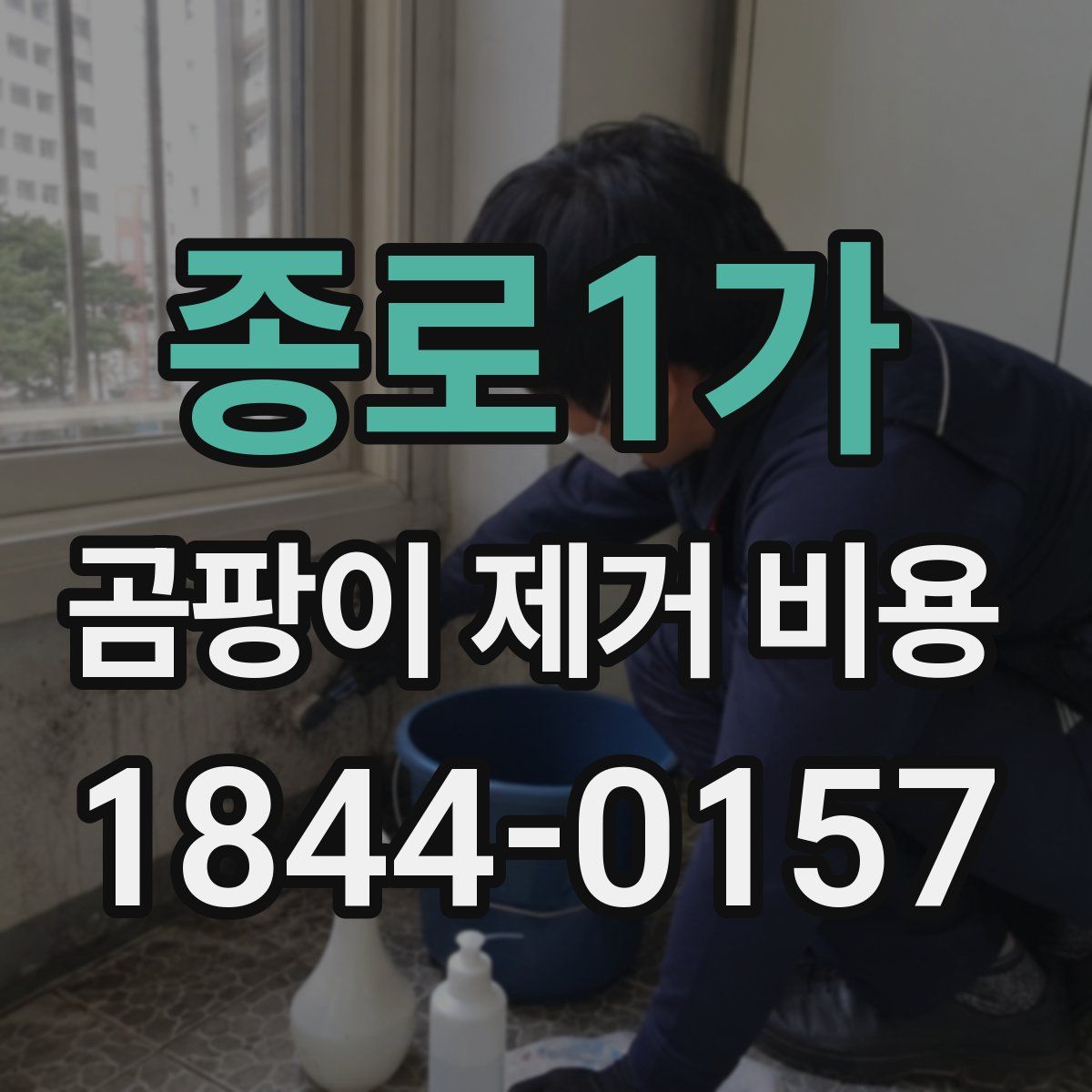 종로1가 곰팡이 제거 비용