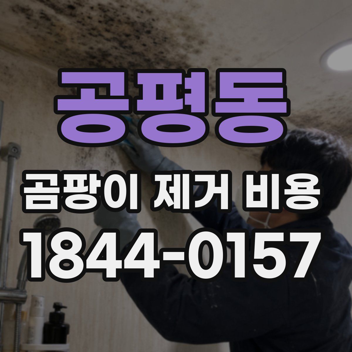공평동 곰팡이 제거 비용