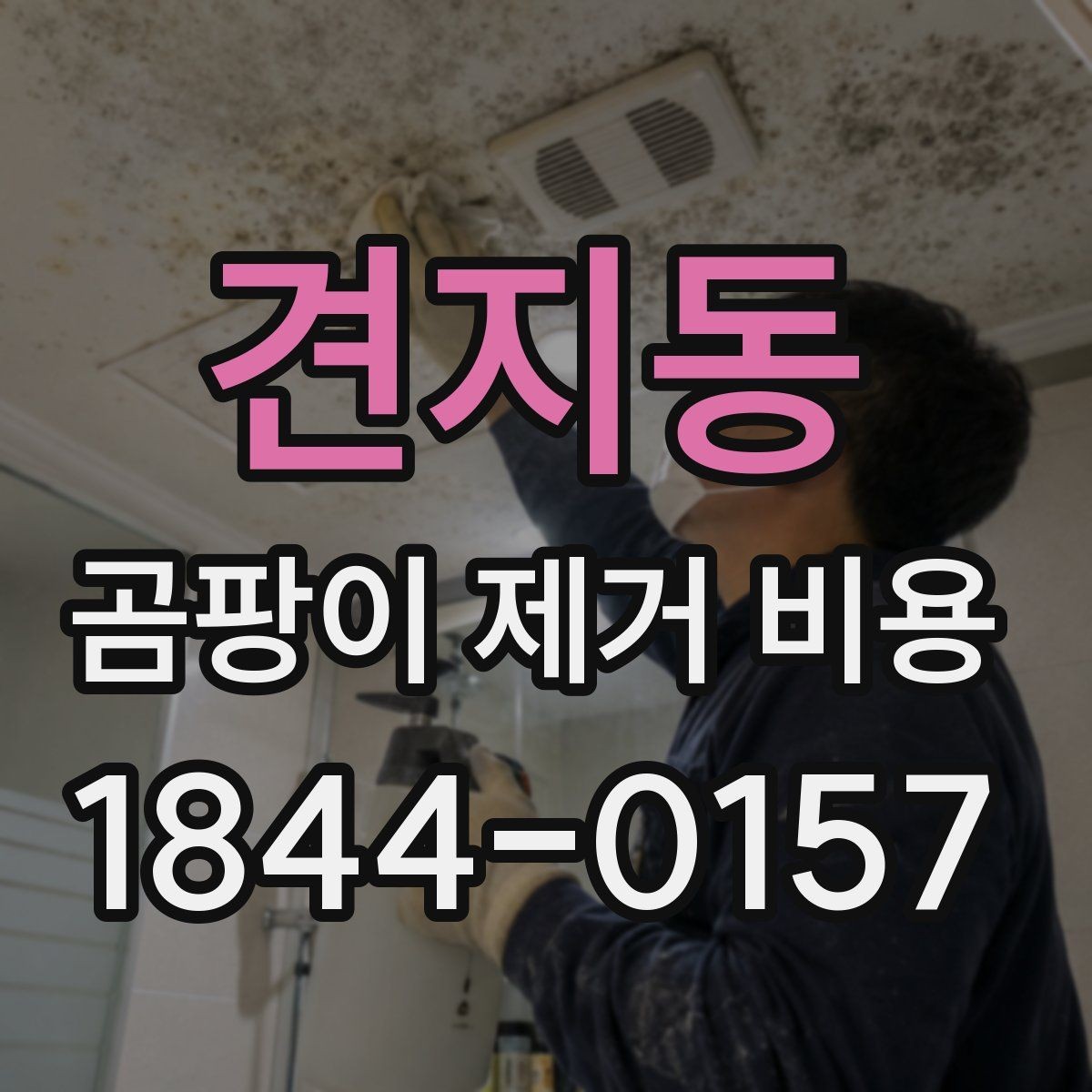 견지동 곰팡이 제거 비용 배관 누수 주변까지 확인해야 하는 이유