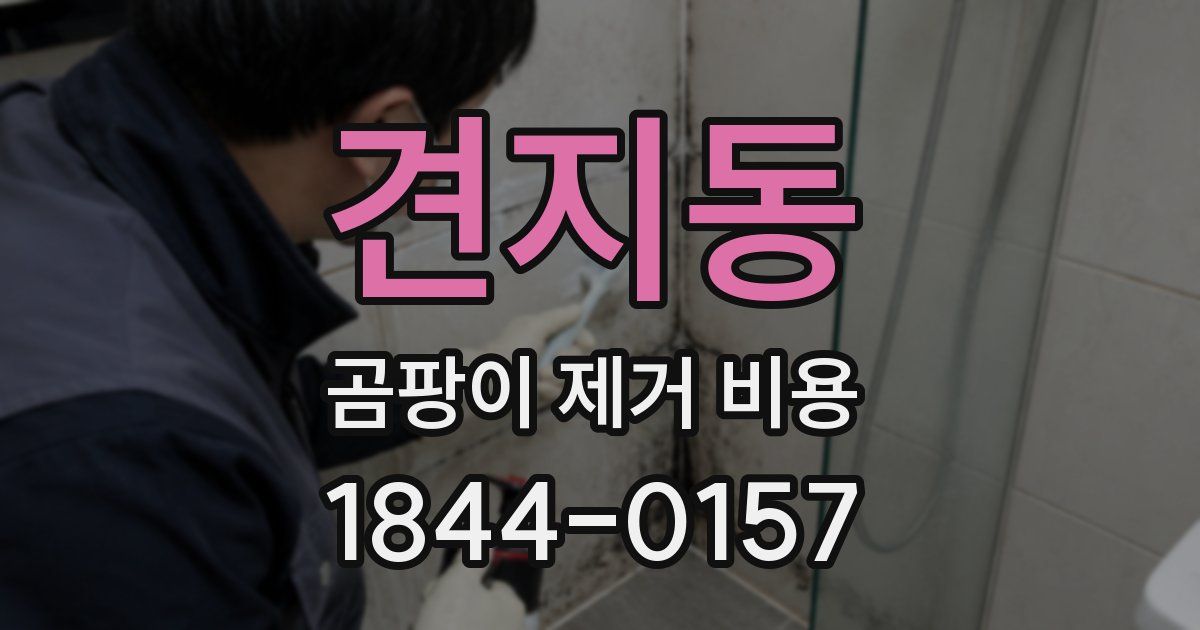 견지동 곰팡이 제거 비용