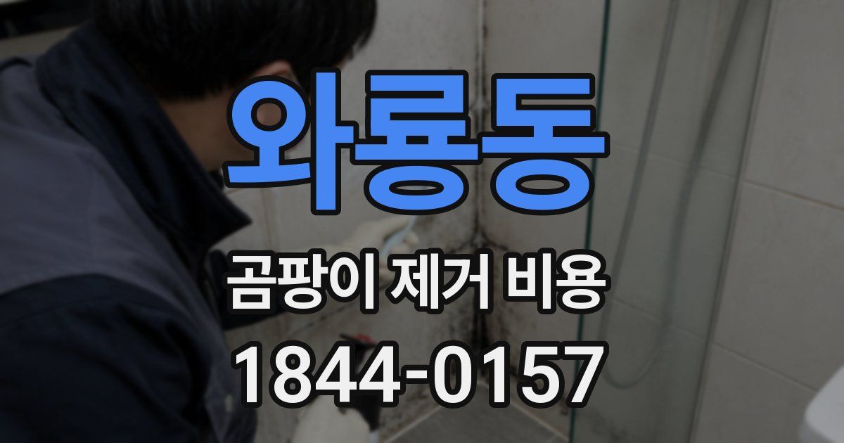 와룡동 곰팡이 제거 비용