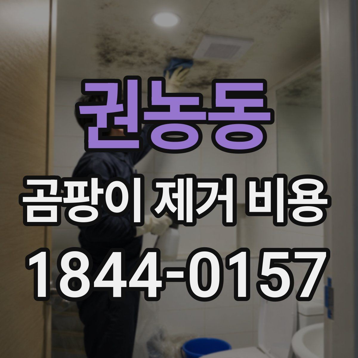 권농동 곰팡이 제거 비용 현장 조사에서 빠지지 말아야 할 항목