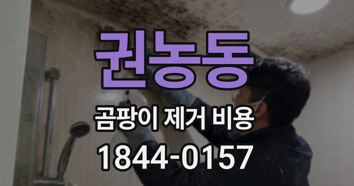 권농동 곰팡이 제거 비용