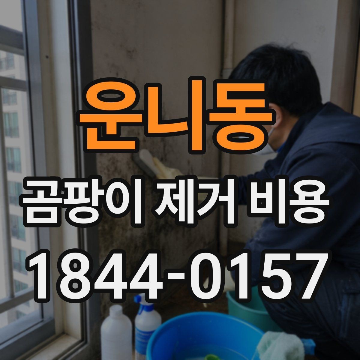 운니동 곰팡이 제거 비용 욕실 천장 오염이 넓을 때 보는 항목